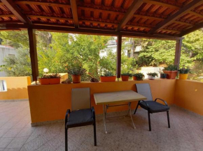Apartments Vinko Mljet- One-Bedroom Apartment with Terrace A3